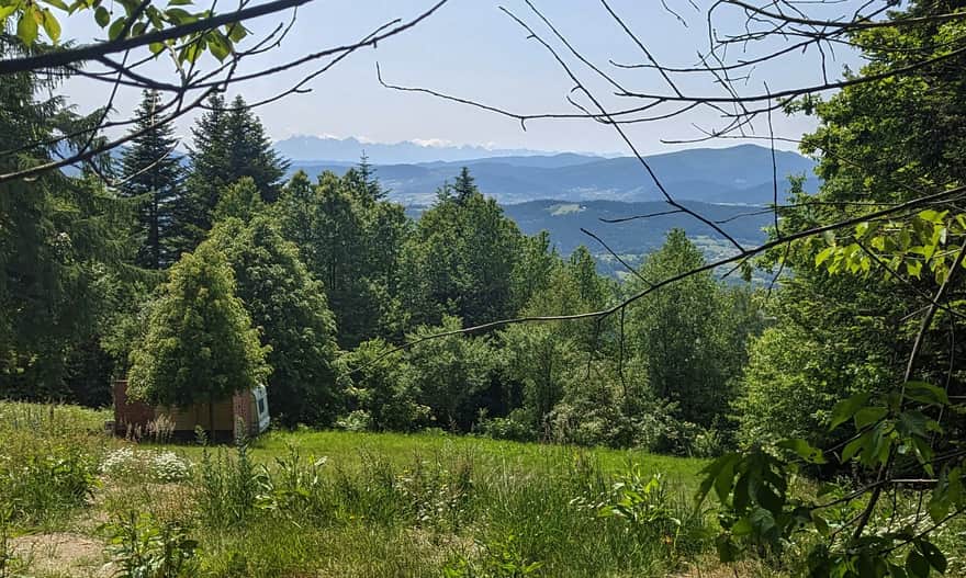Szlak Kamionna - Pasierbiecka Góra. Okienko widokowe w pobliżu szczytu Pasierbieckiej Góry: Tarty Wysokie, Gorc i Mogielica.
