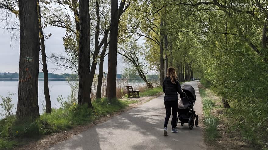 Ścieżka nad zbiornikiem Pogoria III w Dąbrowie Górniczej