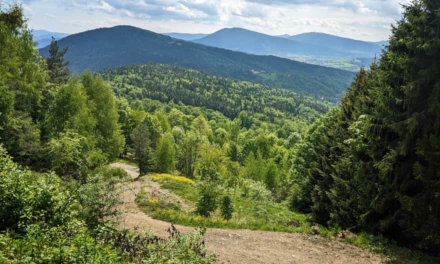 Czerwony szlak Przełęcz Jaworzyce - Lubomir. Punkt widokowy na Beskid Wyspowy.