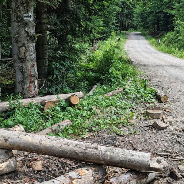 Nowy czarny szlak na Suchą Polanę