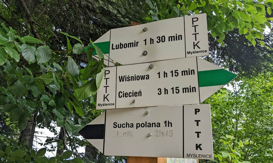 Kierunkowskazy zielonego i czarnego szlaku na leśnym parkingu w Lipniku