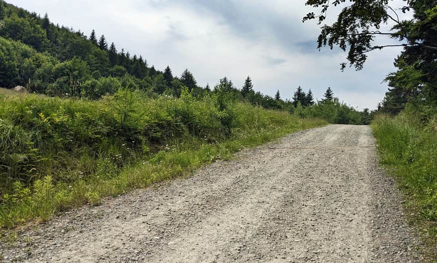 Czarny szlak z Lipnika - dojście na Suchą Polanę