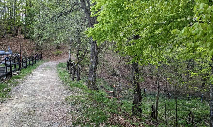 Początek żółtego szlaki z Przełęczy Wyżnej w stronę Działu i Rawek