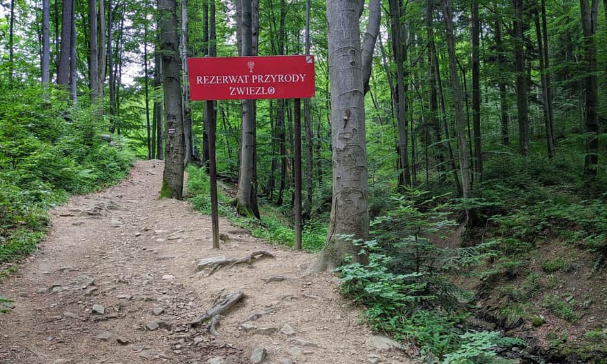 Jeziorka Duszatyńskie i Rezerwat Przyrody Zwiezło