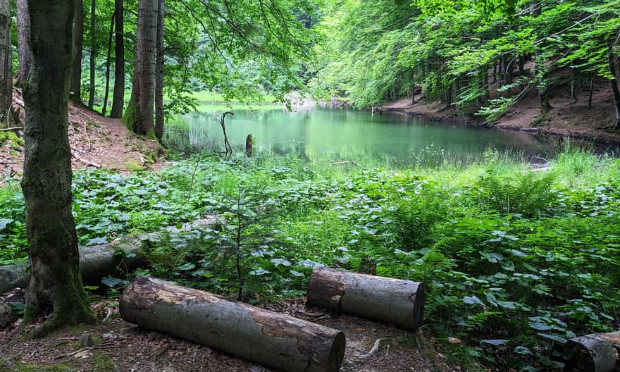 Jeziorka Duszatyńskie koło Duszatyna