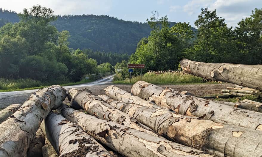 Czerwony szlak Komańcza - Duszatyn - Prełuki