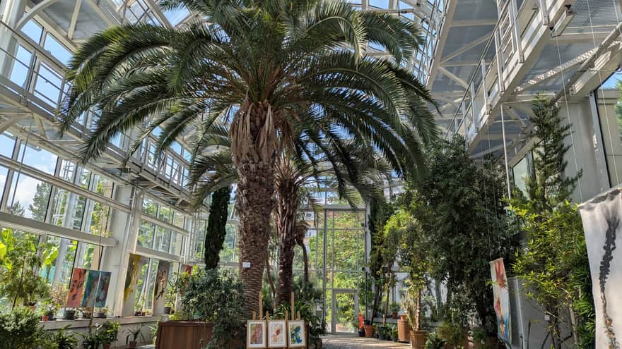 Ogród Botaniczny Uniwersytetu Jagiellońskiego w Krakowie