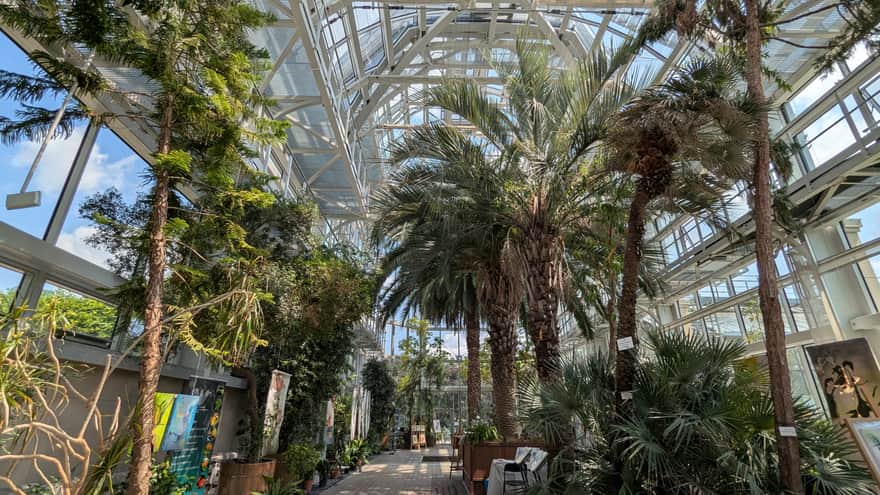 Ogród Botaniczny UJ - palmiarnia