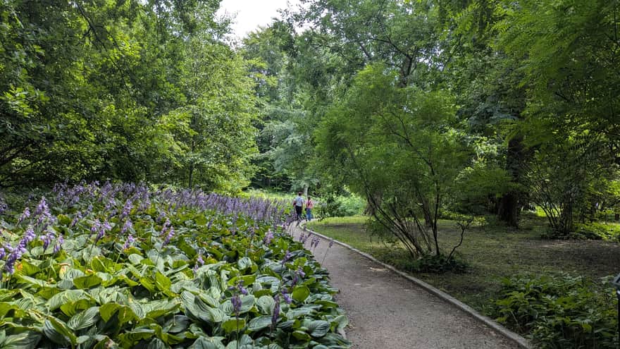 Ogród Botaniczny UJ