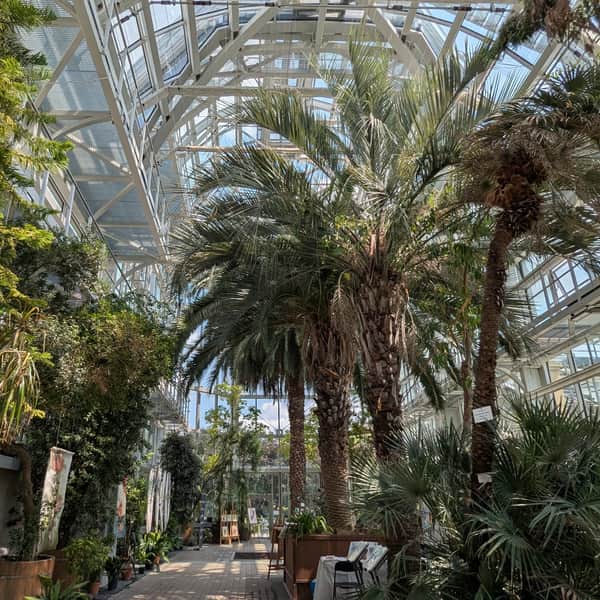 Ogród Botaniczny i Muzeum Ogrodu Botanicznego UJ