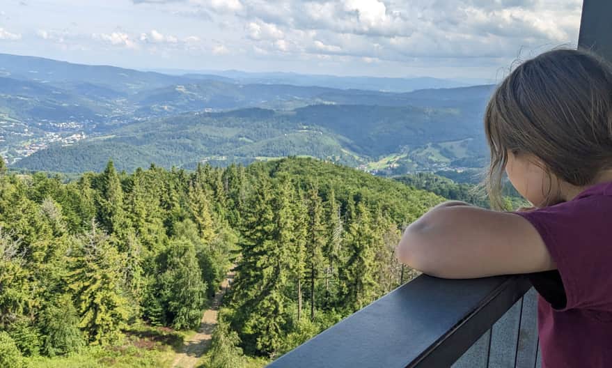 Wielka Czantoria, 995 m n.p.n. - widok z wieży