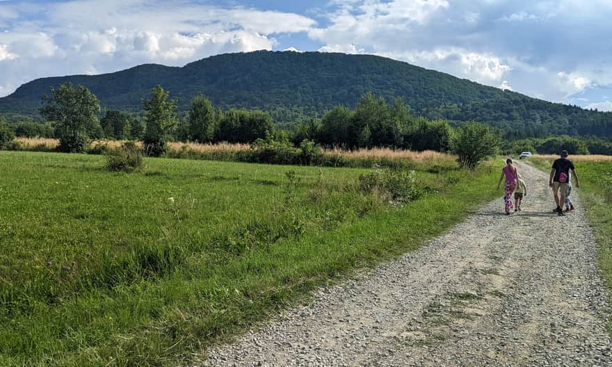 Nowy przebieg szlaku z Dukli na Cergową - odcinek polnej drogi od przystanku w Jasionce do granicy lasu.