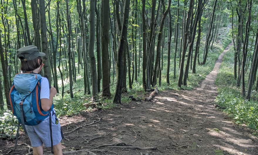 Czerwonym szlak z Lubatowej na Cergową - wąska ścieżka grzbietem