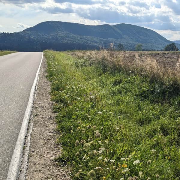 Cergowa Góra z Lubatowej - czerwony szlak
