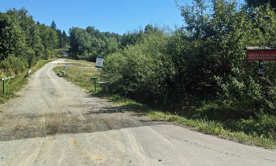 Czerwony szlak z Chyrowej do Pustelni św. Jana w Trzcianie - leśna droga