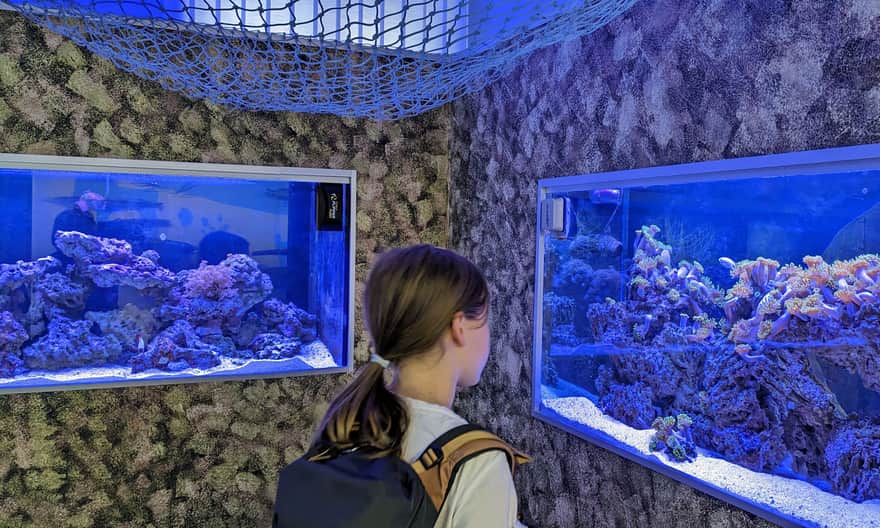 Muzeum Rybołówstwa w Świnoujściu, wystawa przyrodnicza