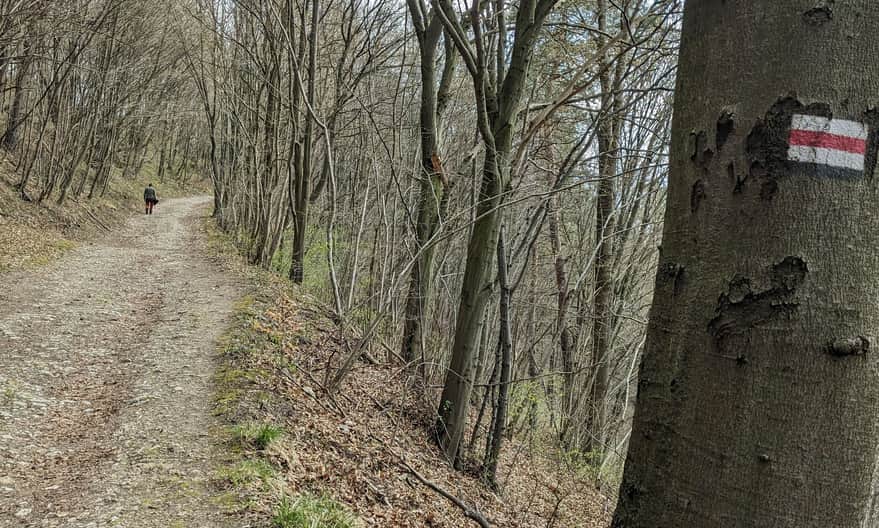 Dojście na Grodzisko od strony Woli Kalinowskiej