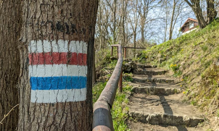 Dojście do Grodziska od strony przystanku Skała Grodzisko i Ojcowa