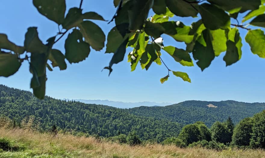 Niebieski szlak na Gorc - Tatry z polany Świnkówka