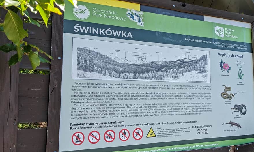 Niebieski szlak na Gorc - polana Świnkówka