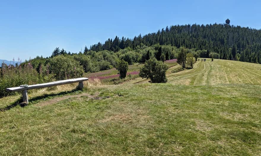 Gorc, 1228 m n.p.m. Polana Gorc Kamieniecki