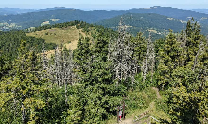 Gorc, 1228 m n.p.m. Widok z wieży na północ (Beskid Wyspowy)