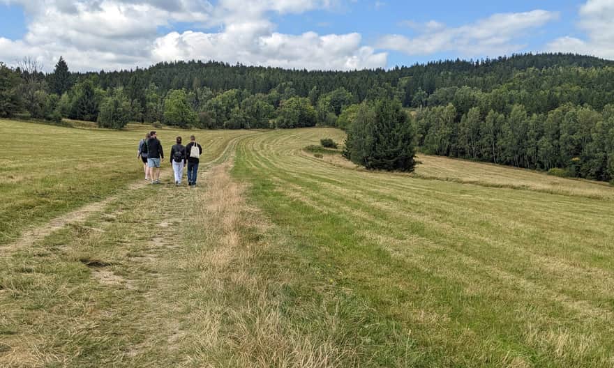 Zielony szlak na Górę Borówkową. Widokowe łąki na Przełęczy Lądeckiej