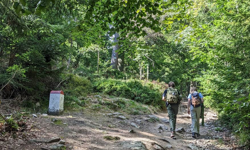 Zielony szlak na Górę Borówkową. Szlak granicą polsko-czeską