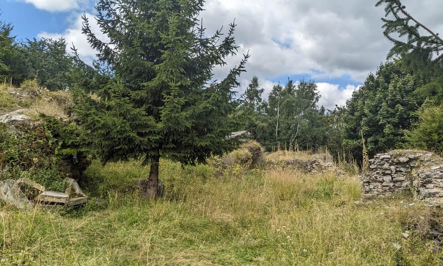 Ruiny Zamku Karpień - widok ogólny