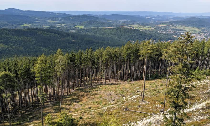 Trojak - widok na Lądek-Zdrój z platformy widokowej na skale Trojan