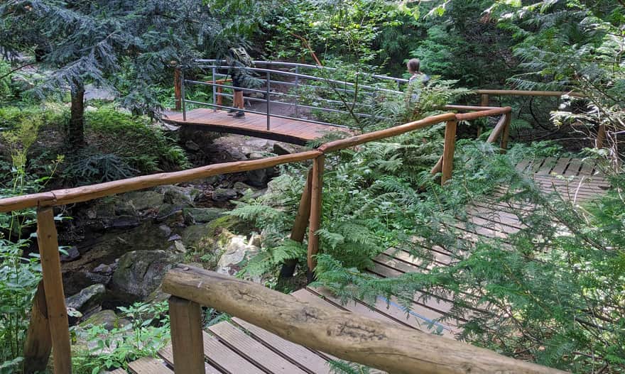Arboretum w Lądku-Zdroju - labirynt kładek i mostków nad potokiem Jadwiżanka