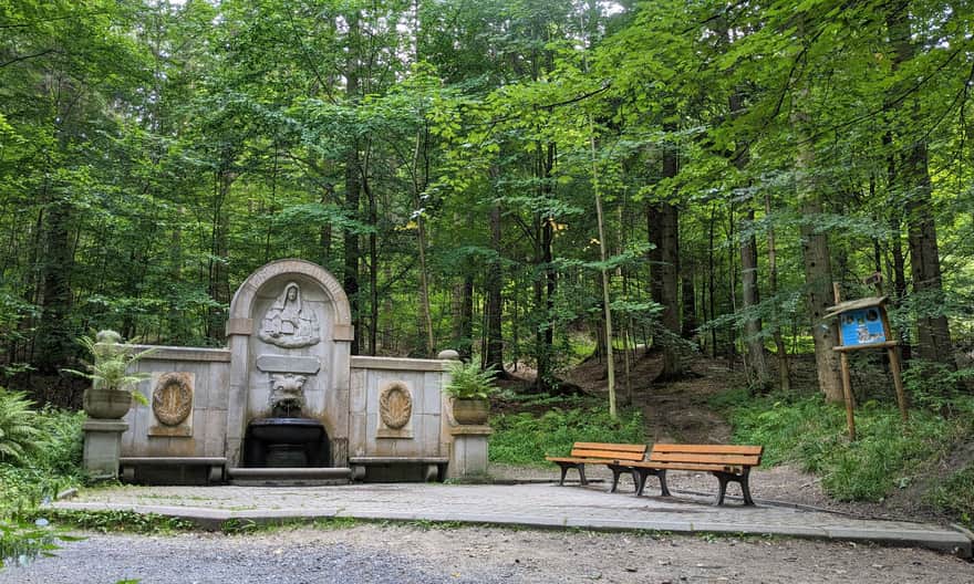 Leśne źródło św. Jadwigi obok Arboretum w Lądku-Zdroju