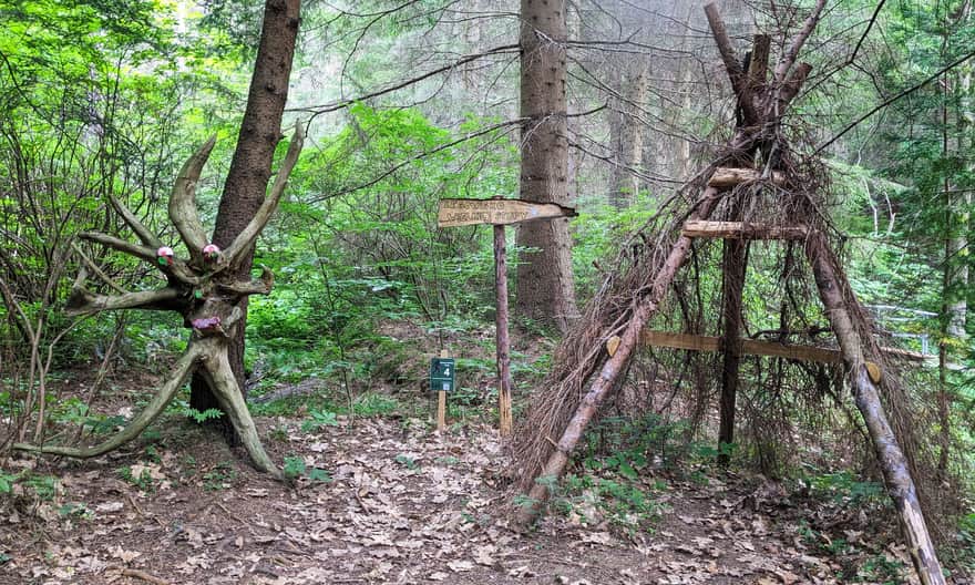 Arboretum w Lądku-Zdroju - elementy gry terenowej "Śladami Wielkiej Stopy"