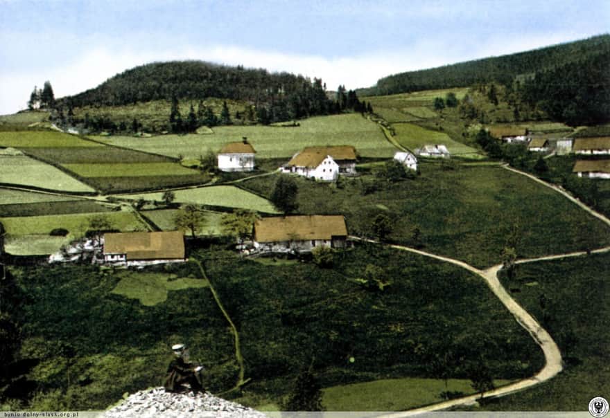 Wrzosówka / Heidelberg; źródło: https://polska-org.pl/5850779,foto.html?idEntity=3310840