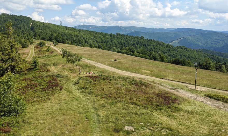 Błatnia, 917 m n.p.m. - widok z "tronu" na Skrzyczne