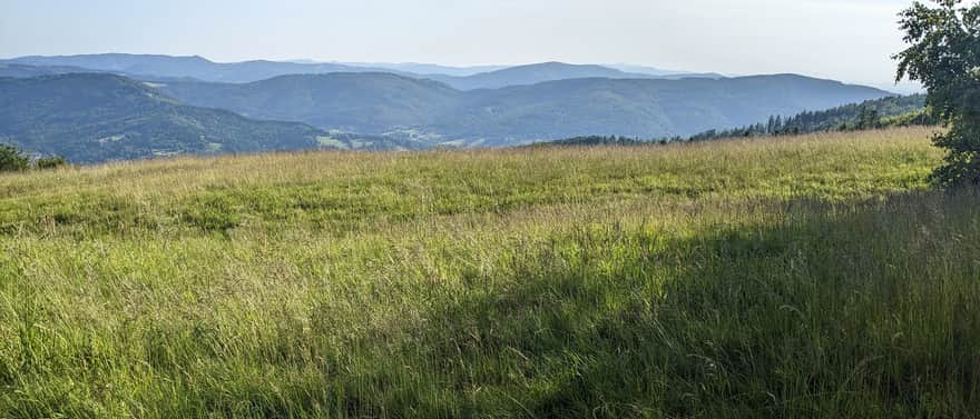Błatnia, 917 m n.p.m. - widok na pasmo Stożka i Czantorii