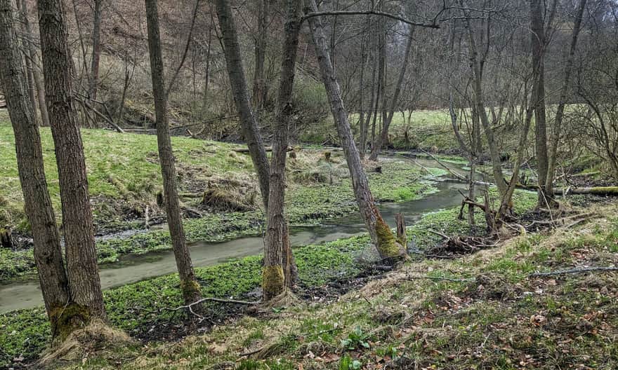 Dolina Sąspówki - oaza ciszy i spokoju w Ojcowskim Parku Narodowym 