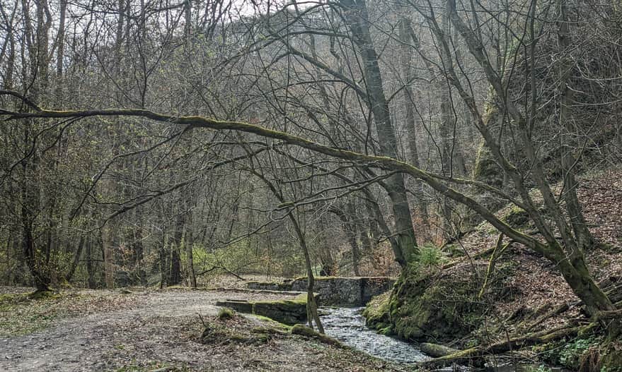 Dolina Sąspówki w Ojcowskim Parku Narodowym - ujście kanału do stawów rybnych