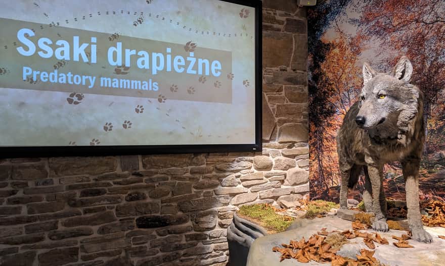 Wystawa Przyrodnicza w Ośrodku Edukacyjnym Gorczańskiego Parku Narodowego