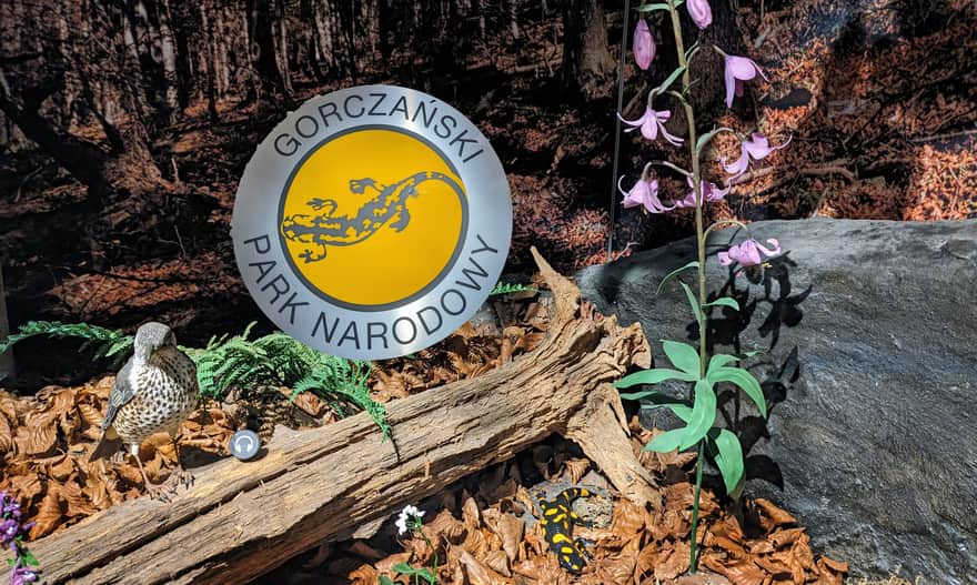 Wystawa Przyrodnicza w Ośrodku Edukacyjnym Gorczańskiego Parku Narodowego