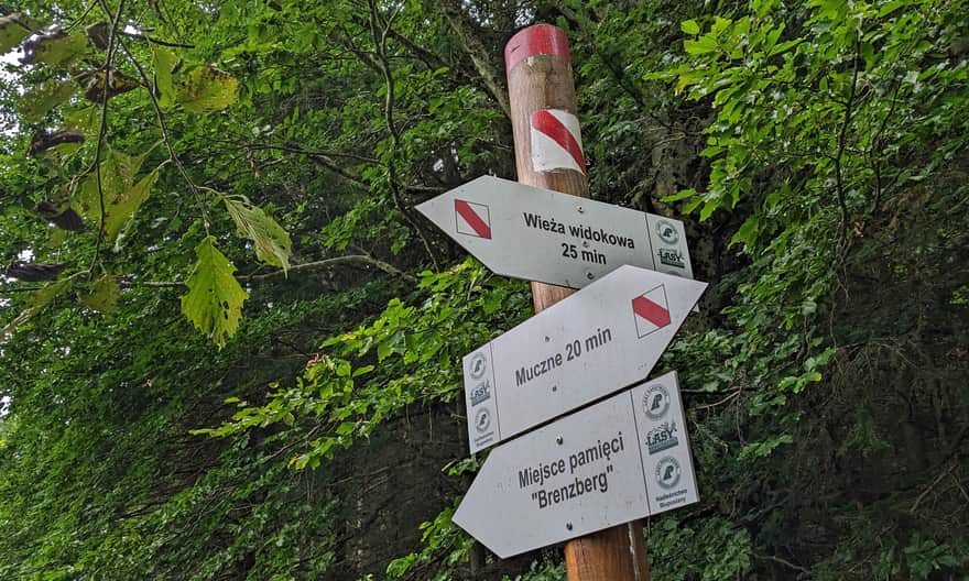 Ścieżka edukacyjna "Żubr" w Mucznem