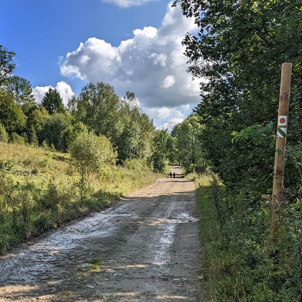 Doliną Caryńskiego do schroniska Koliba na Przysłopie Caryńskim
