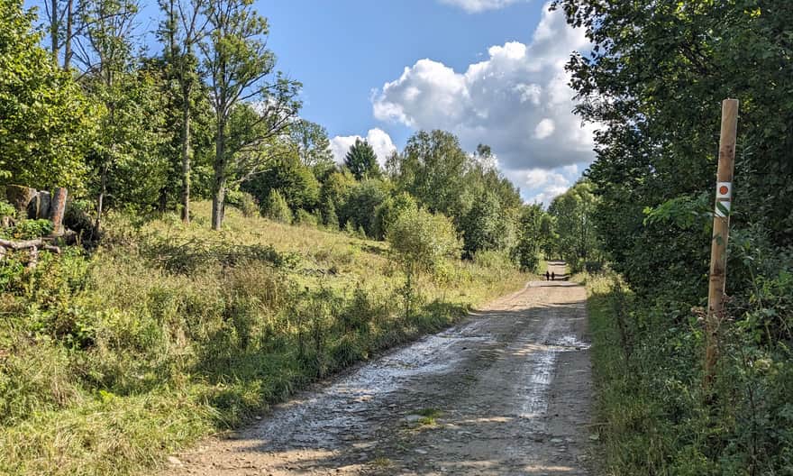 Doliną Caryńskiego do schroniska Koliba na Przysłopie Caryńskim