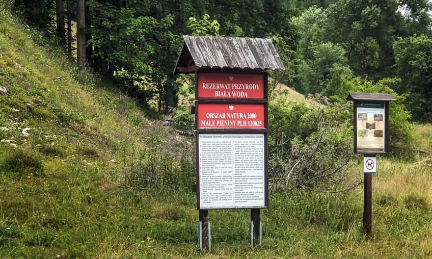 Zakaz wprowadzania psów do Rezerwatu Biała Woda w Pieninach