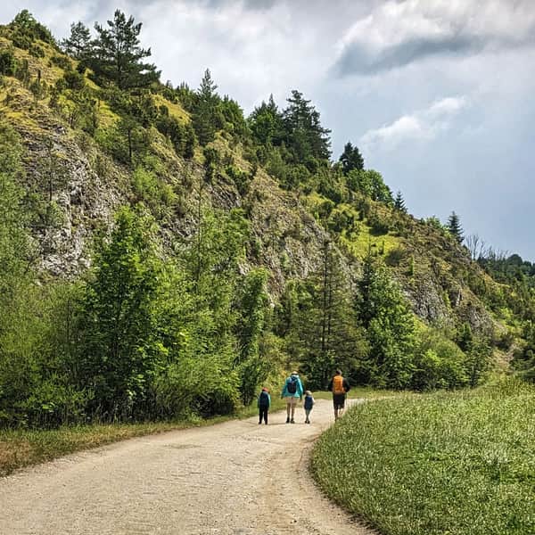 Rezerwat Przyrody Biała Woda Pieniny