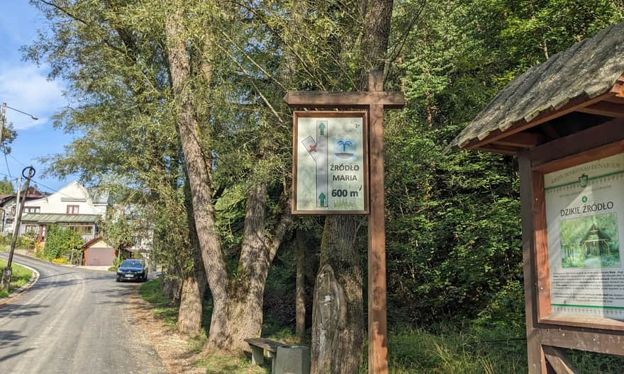 Z Krościenka na Przehybę - ul. Zdrojowa i odbicie do źródła Marii