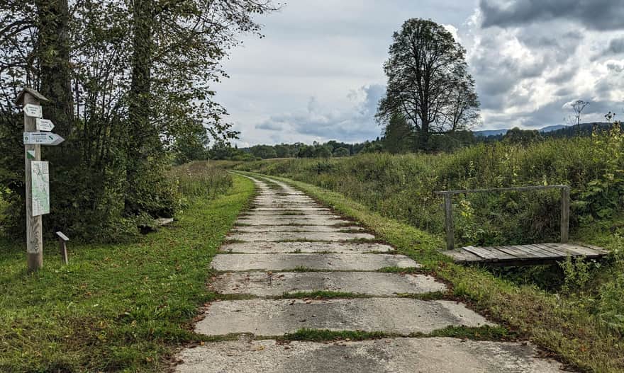Ścieżka przyrodnicza z Tarnawy Niżnej do Dźwiniacza Górnego - miejsce gdzie łączy się górny i dolny wariant scieżki