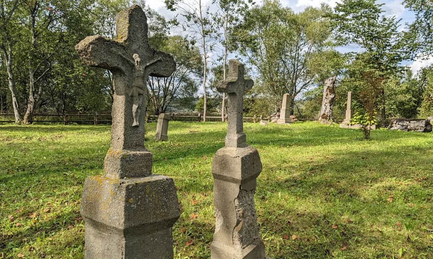 Ścieżka przyrodnicza z Tarnawy Niżnej do Dźwiniacza Górnego - stary cmentarz