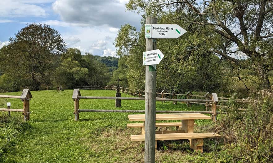 Ścieżka przyrodnicza z Tarnawy Niżnej do Dźwiniacza Górnego - nowy cmentarz