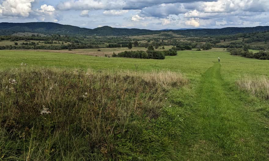 Ścieżka przyrodnicza z Tarnawy Niżnej do Dźwiniacza Górnego - punkt widokowy Świetlikowe